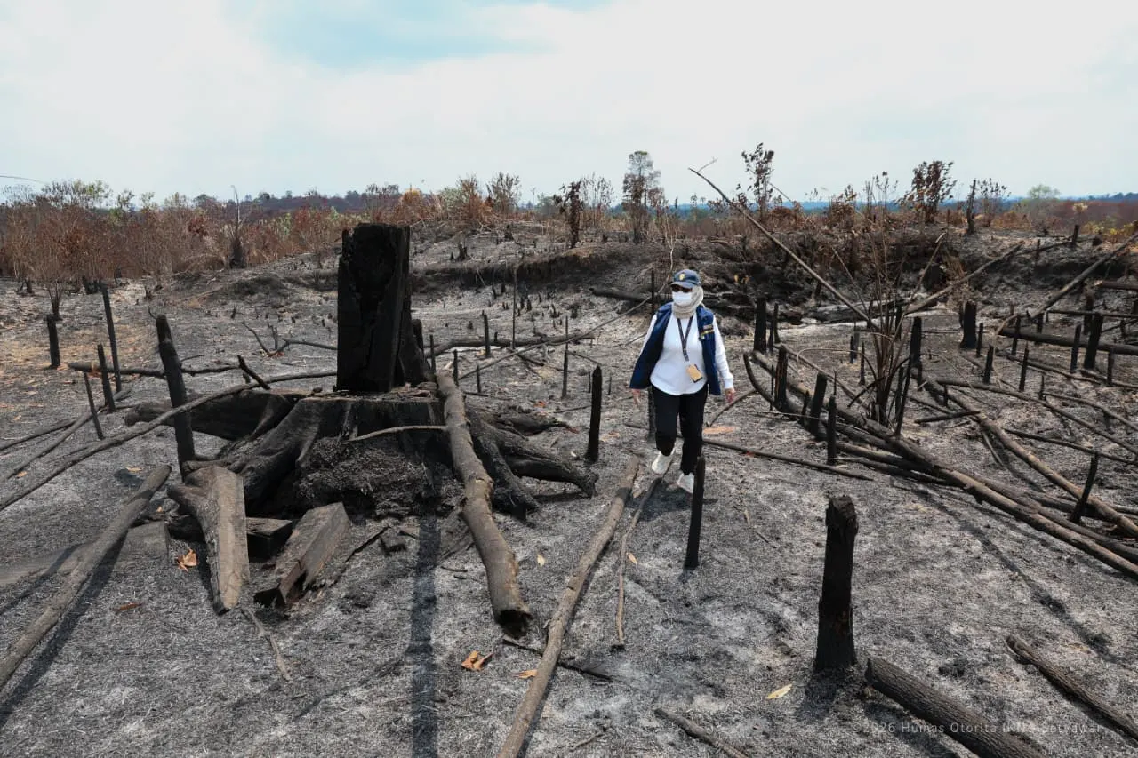 Kebakaran hutan