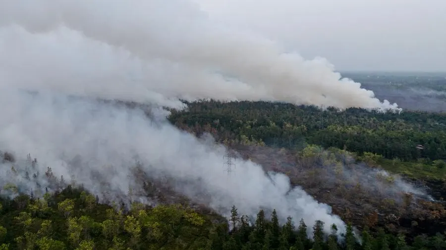 Kebakaran Hutan. Tripodnews/REUTER