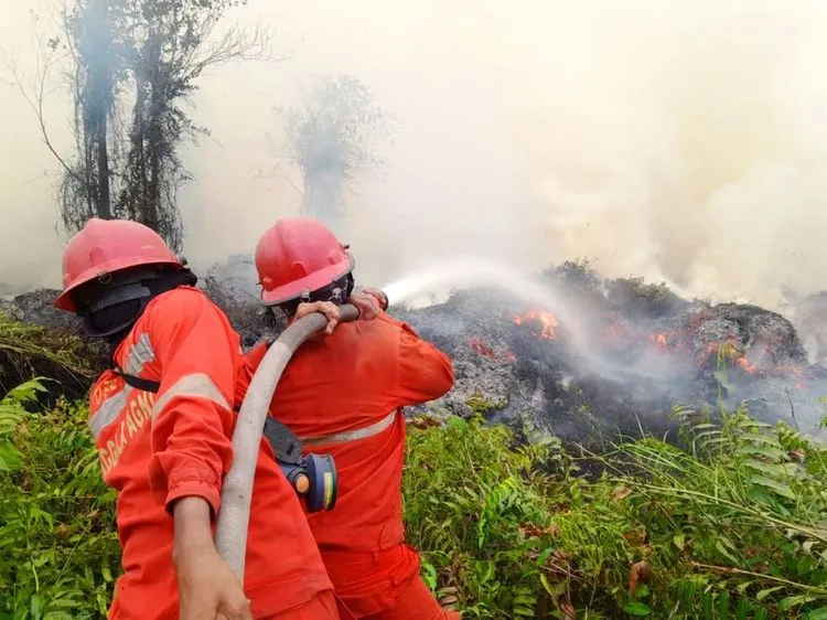 Aksi pekerja Damkar saat memadamkan api kebakaran hutan kalimantan. Tripodnews/DOK KEMENHUT