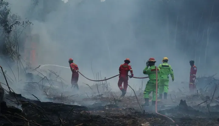 Kemenkes Catat 333.470 Kasus ISPA di Wilayah Terdampak Karhutla