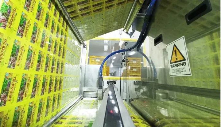 Sido Muncul Bagikan Dividen Interim Rp300 Miliar, Yield Capai 2,92%