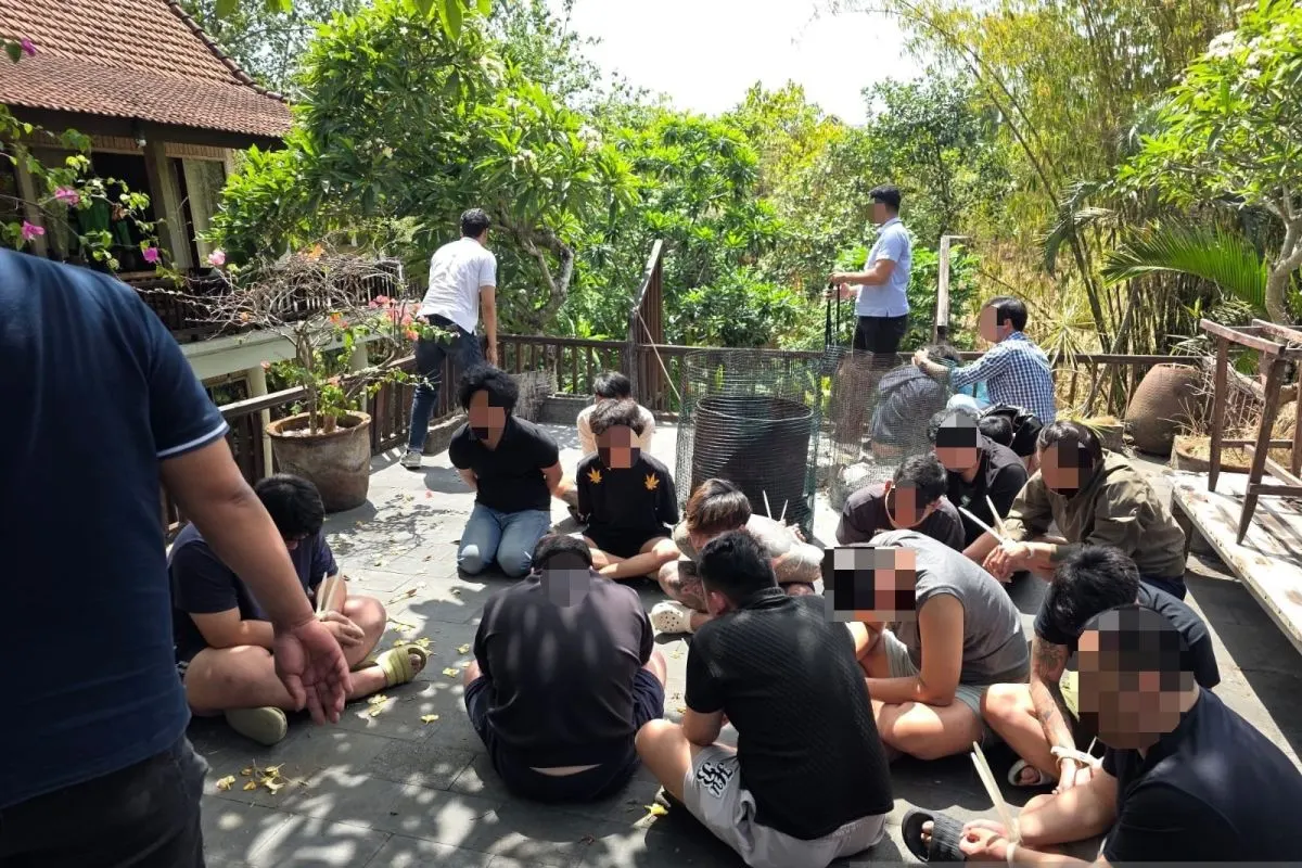 Imigrasi Tangkap 15 WNA Malaysia dan Singapura yang operasikan Pinjol Ilegal di Bali. Tripodnews/ANTARA