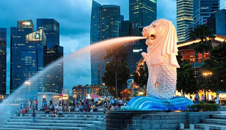 Pengusaha Singapura Patrick Liew Respons Kebijakan Gas RI, Dorong Diversifikasi Energi