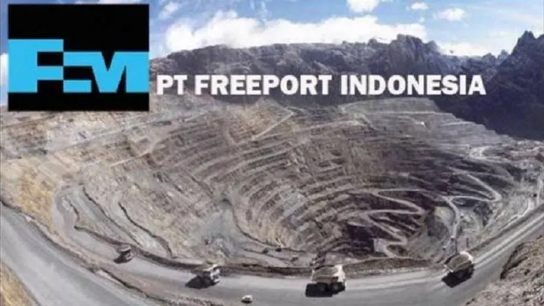 Saat ini kepemilikan saham mayoritas Freeport Indonesia lebih besar dimiliki pemerintah Indonesia, yakni 51 persen, sementara sisanya digenggam Freeport McMoRan (FCX).