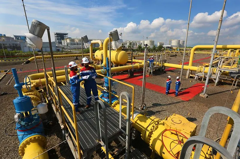 Vinilon Group, perusahaan pembuat pipa, memiliki pasar yang sebagian besar lokal dan belum mengekspor produknya. Namun, mereka berharap produk mereka dapat digunakan oleh investor asing yang berinvestasi di Indonesia, mengurangi kebutuhan untuk mengi