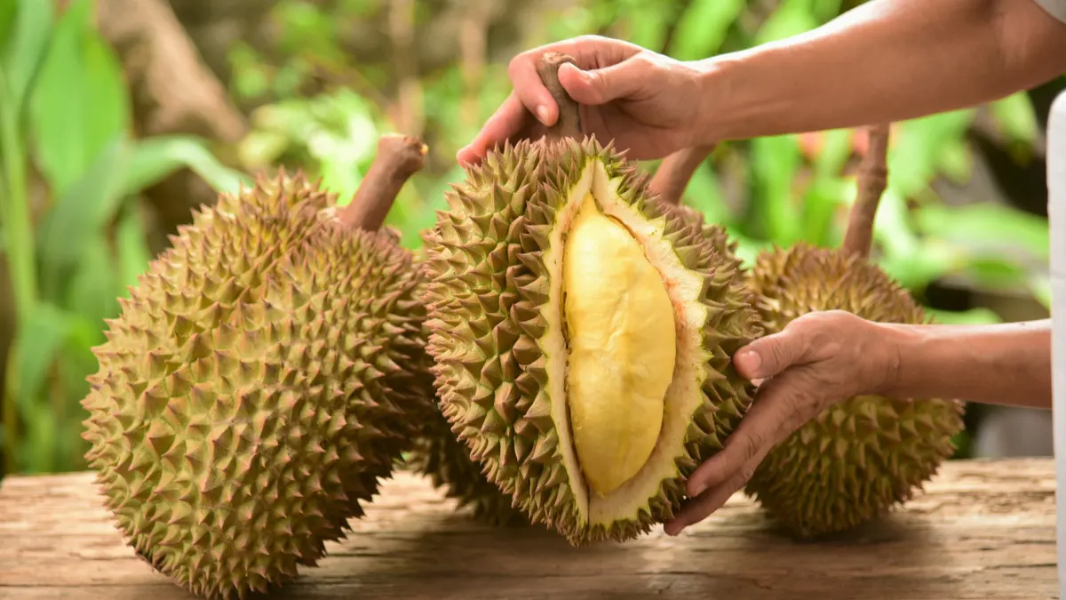 Sementara Thailand mendominasi sebagai pemasok utama durian, dengan 99% dari total ekspor durian ASEAN, ada peluang besar bagi negara-negara ASEAN lainnya untuk bersaing di pasar China yang besar. Kesepakatan perdagangan bebas Kemitraan Ekonomi Kompr