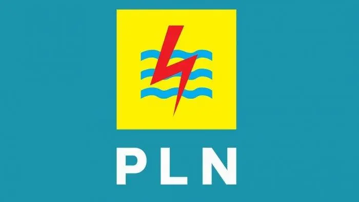 PLN Ajukan PMN Rp5,86 Triliun untuk Pasok Setrum ke 2.097 Desa