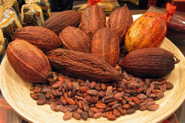 Industri Kakao dan Cokelat Indonesia Sumbang 9,17% Pasar Global